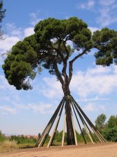 Imatge de complement