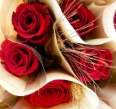 Imatge de complement