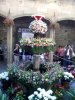 Foto de la Galeria