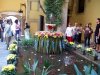 Foto de la Galeria
