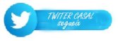 icono twiter+segueix